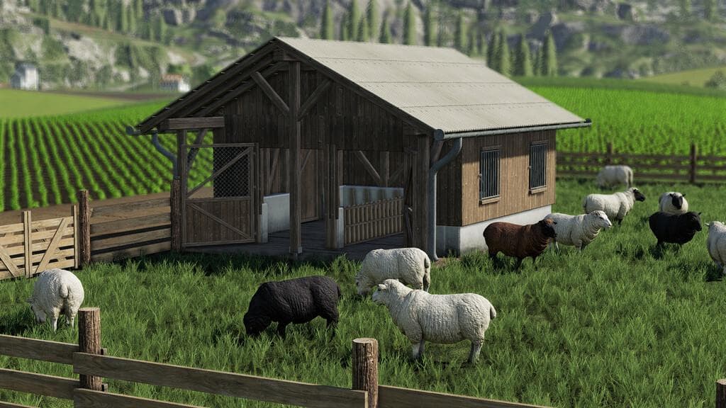 SHEEP PASTURE
