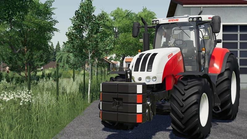STEYR WEIGHT PACK