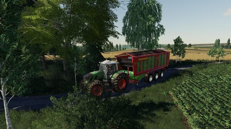 Strautmann Magnon 560 DO