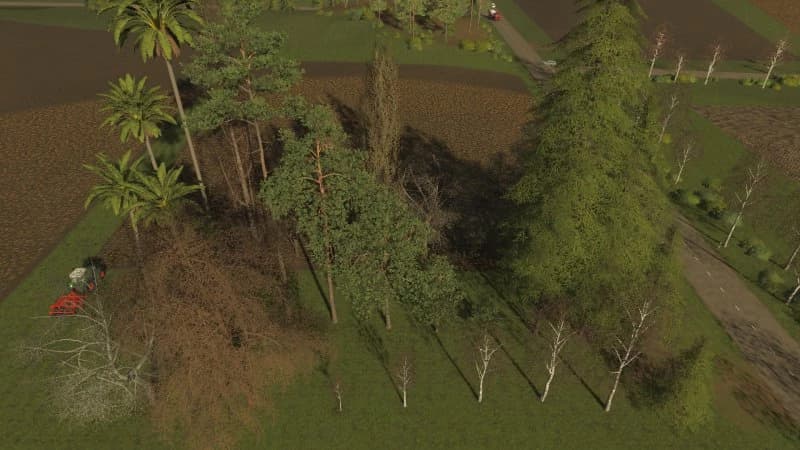 TREES