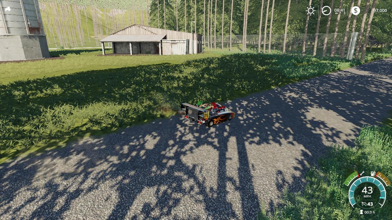 Timber Life