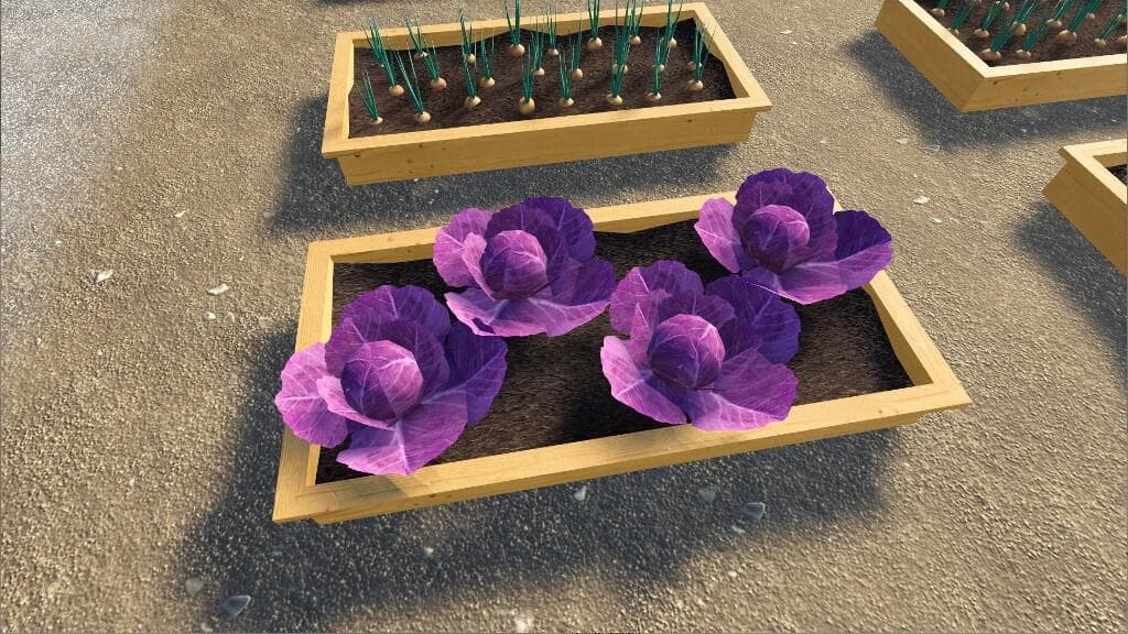 VEGETABLE GARDEN