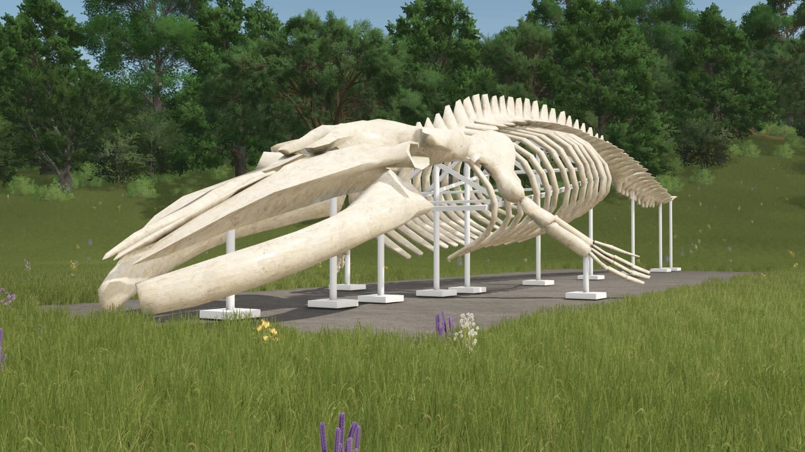 Whale Skeleton Sculpture