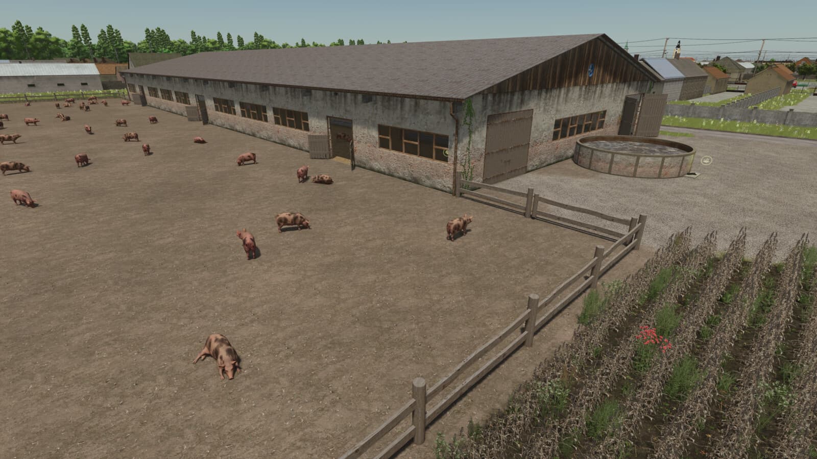 XXL Pig Barn