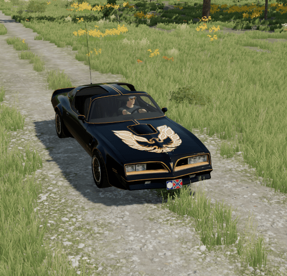 77 Pontiac Trans Am Firebird Bandit
