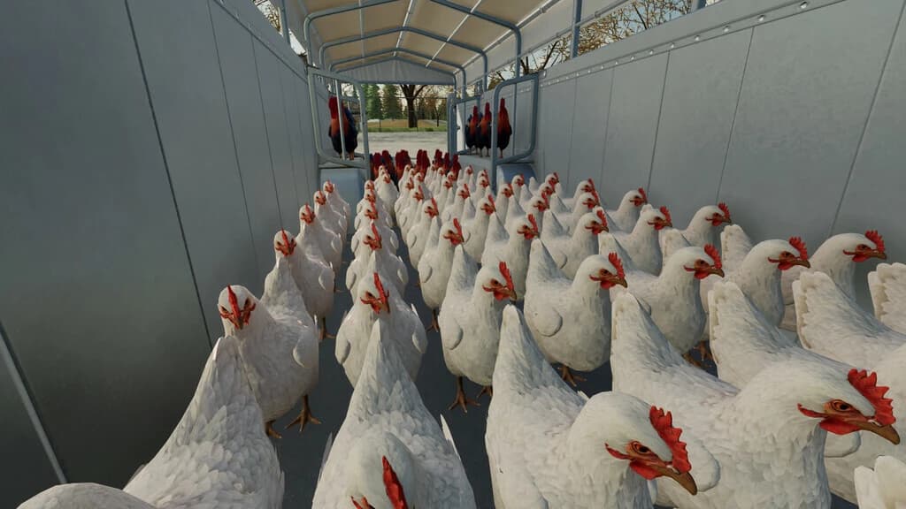 ANIMAL TRANSPORT TRAILER PACK