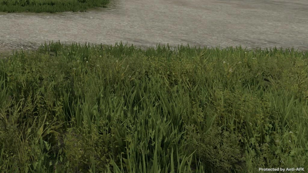 ANTI AFK