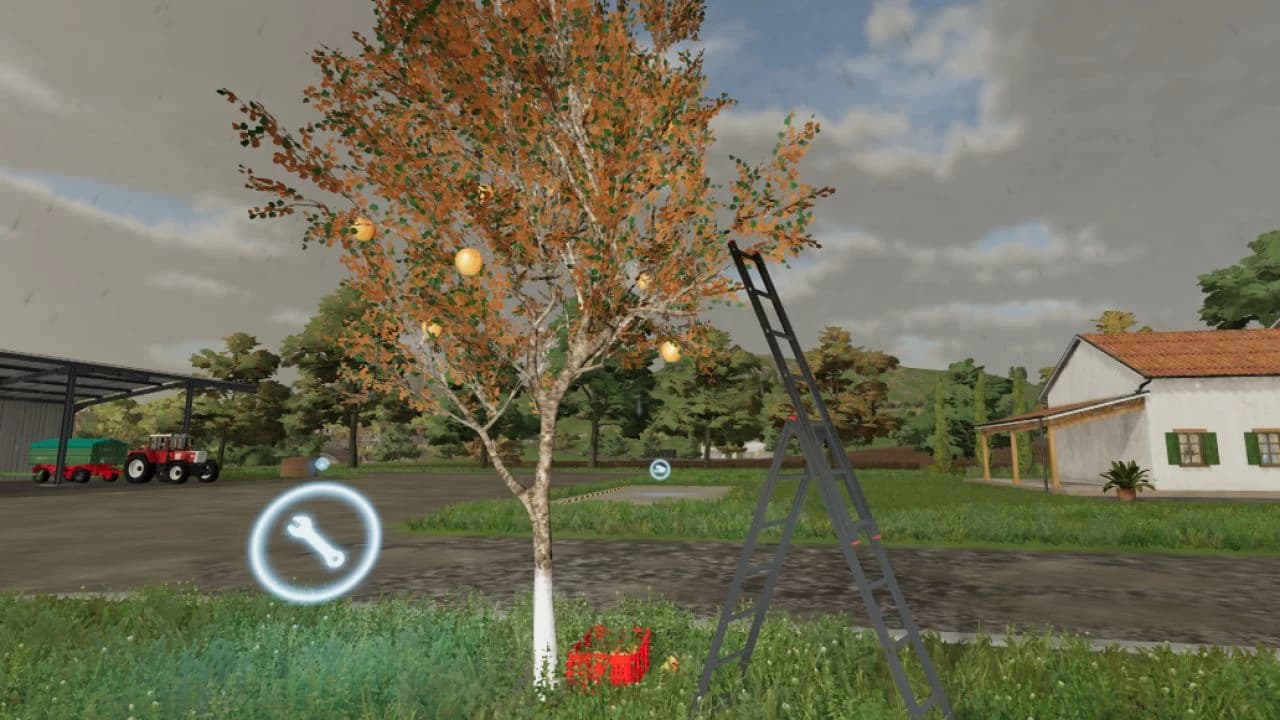 APPLE TREE BETA