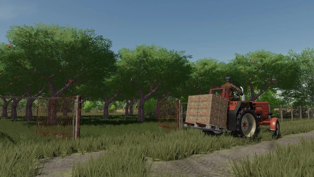 APPLE TREES