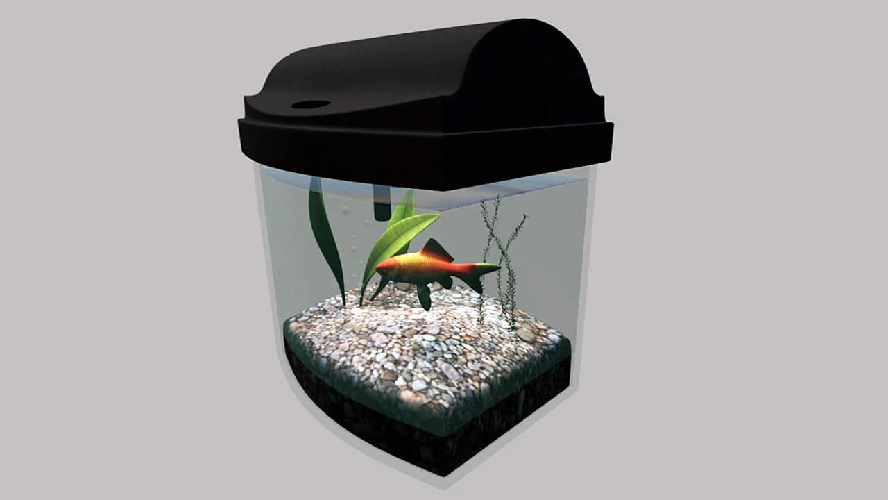 AQUARIUM
