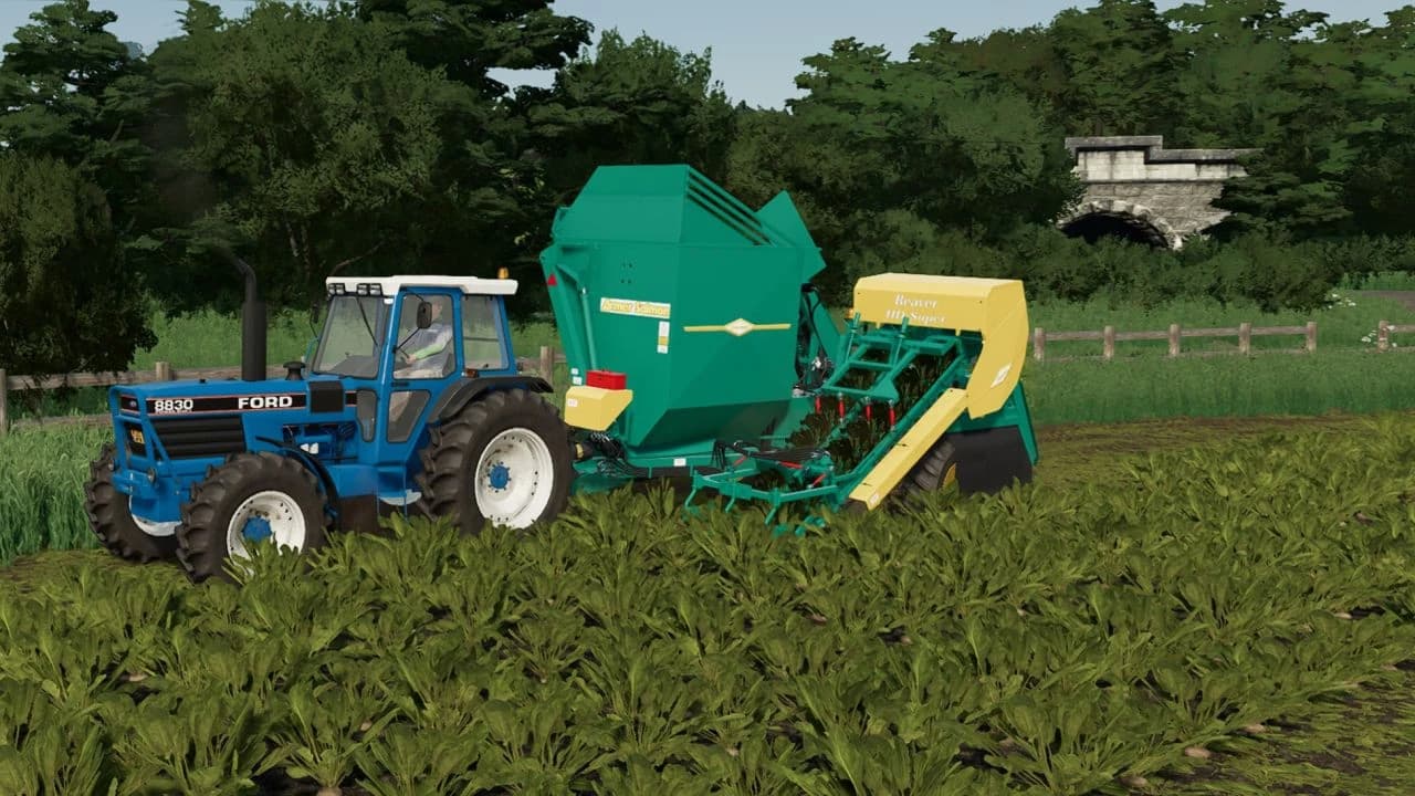 ARMER SALMON BEAVER 2 ROW BEET HARVESTER