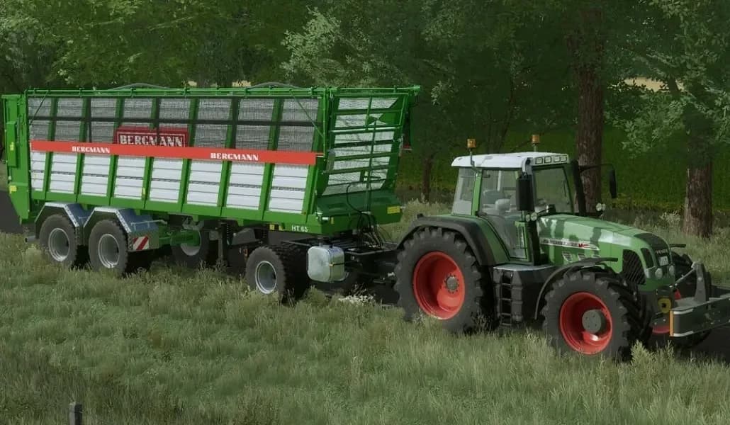 BERGMANN HT 65