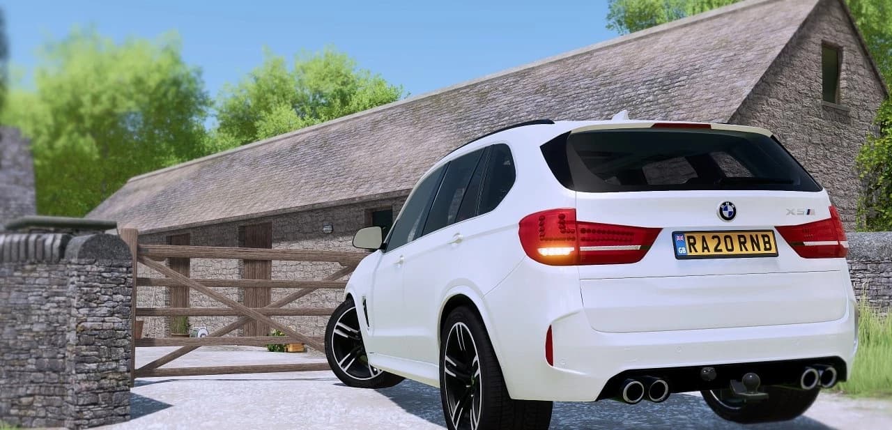 BMW X5M (SIMPLE IC)