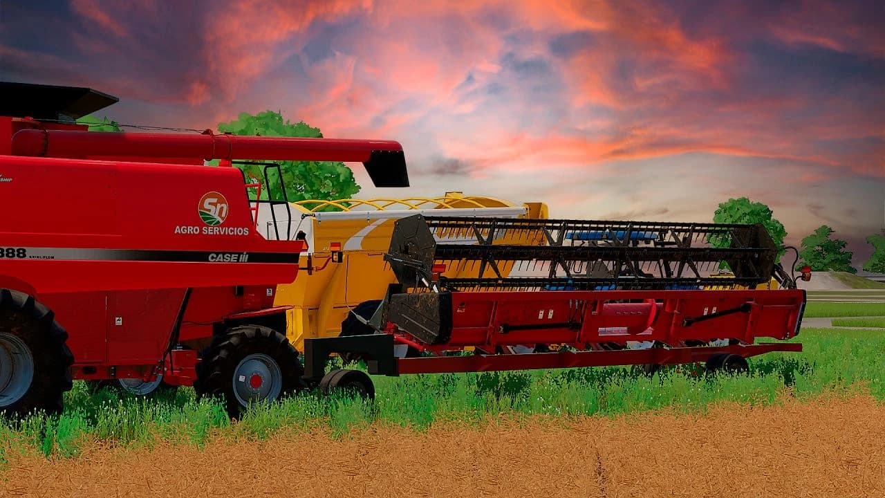 CARRO DE PLATAFORMA NICO SUAREZ