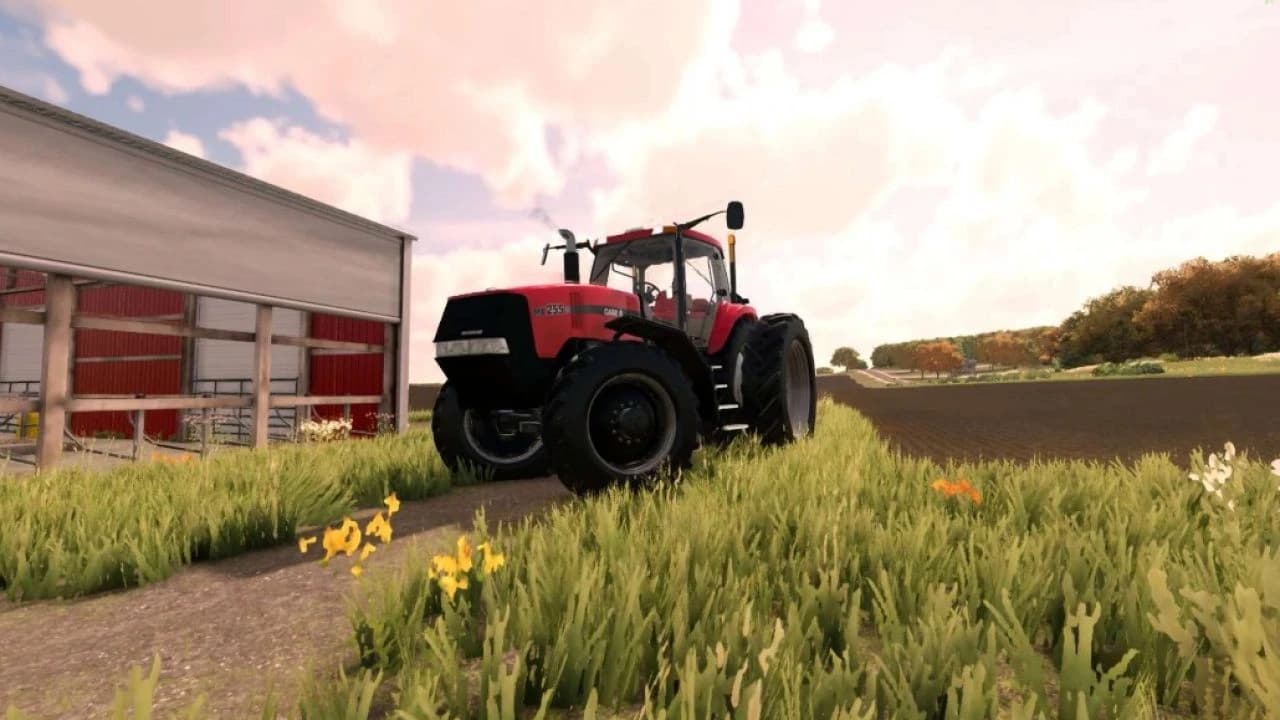 CASE MAGNUM MX US BETA