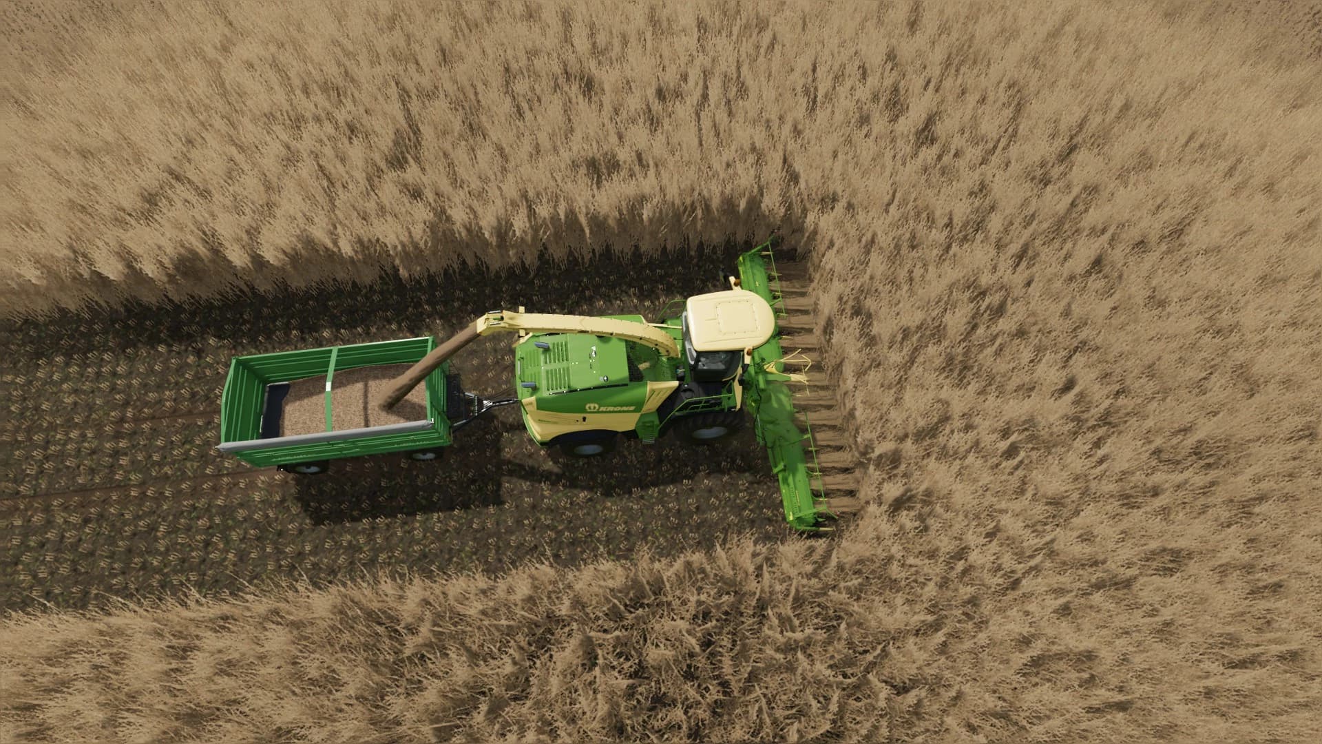 COLLECT 900-3 FOR POPLAR AND SUGARCANE