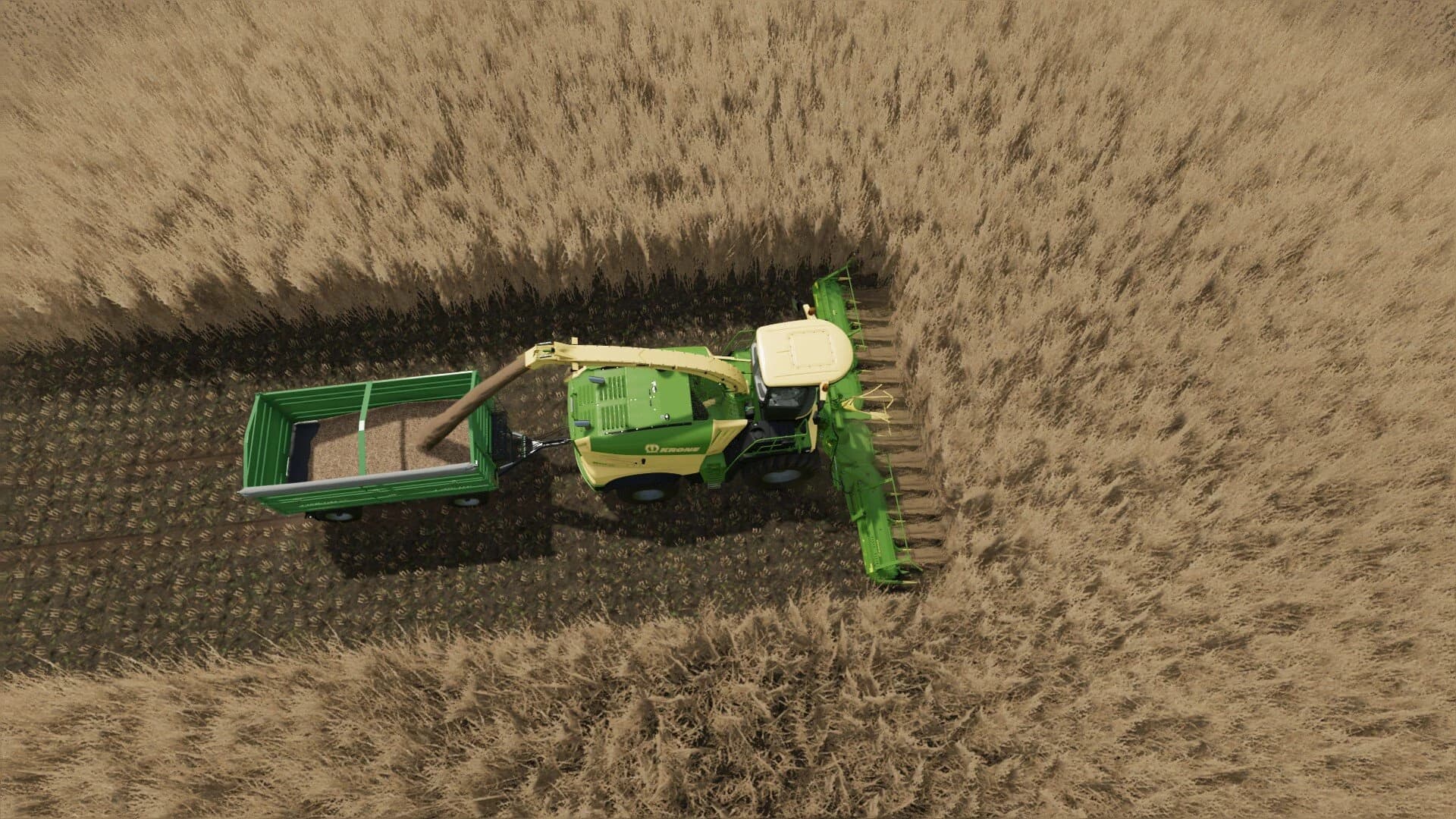 COLLECT 900 FOR SUGARCANE AND POPLAR