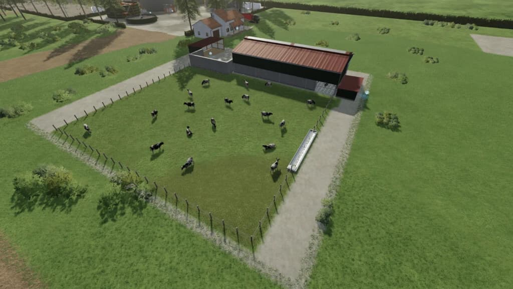 COW PASTURE