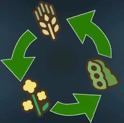 CROPROTATION + (ADDITIONAL CROPS)