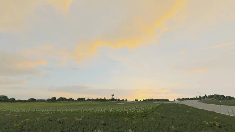 DYNAMIC SKY