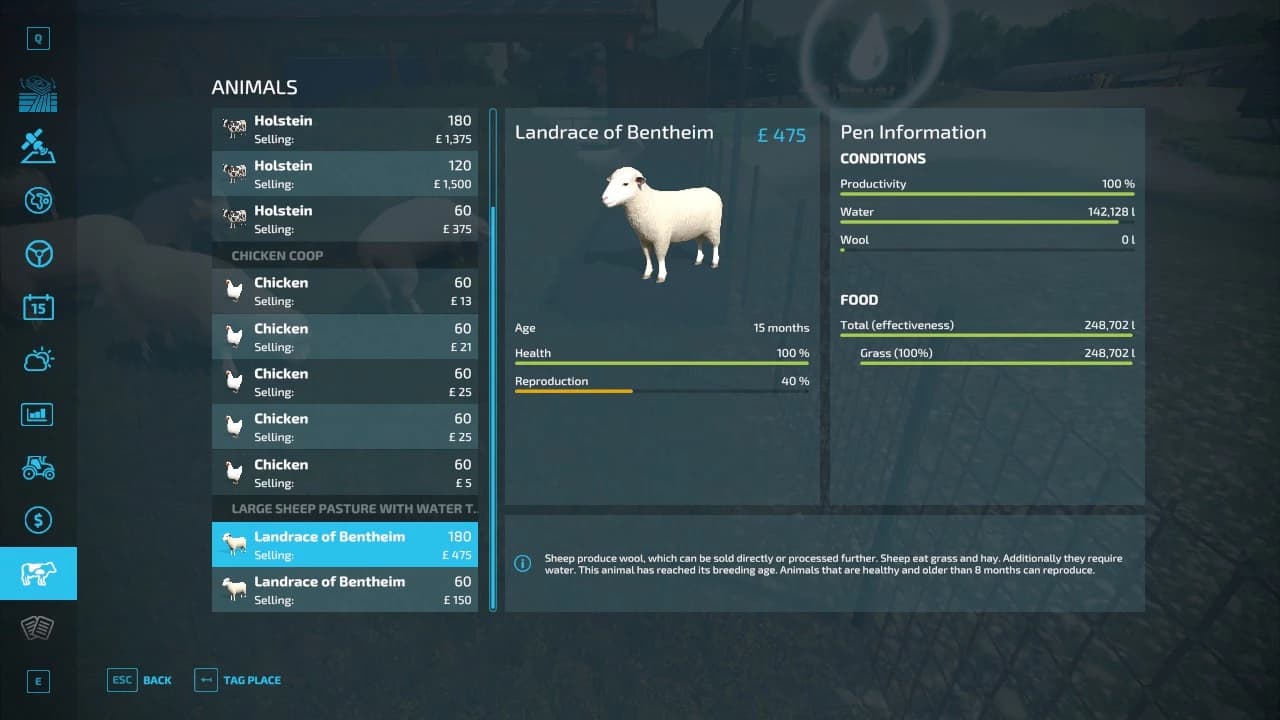 ECO SHEEP PADDOCK