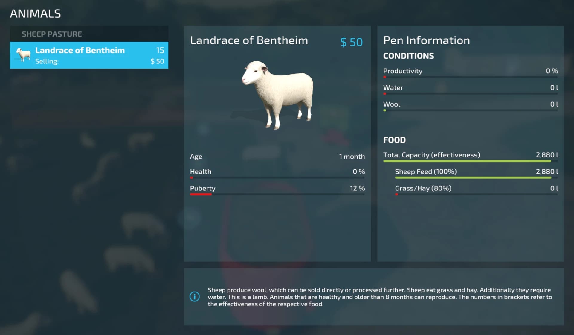 ENHANCED SHEEP FEEDING