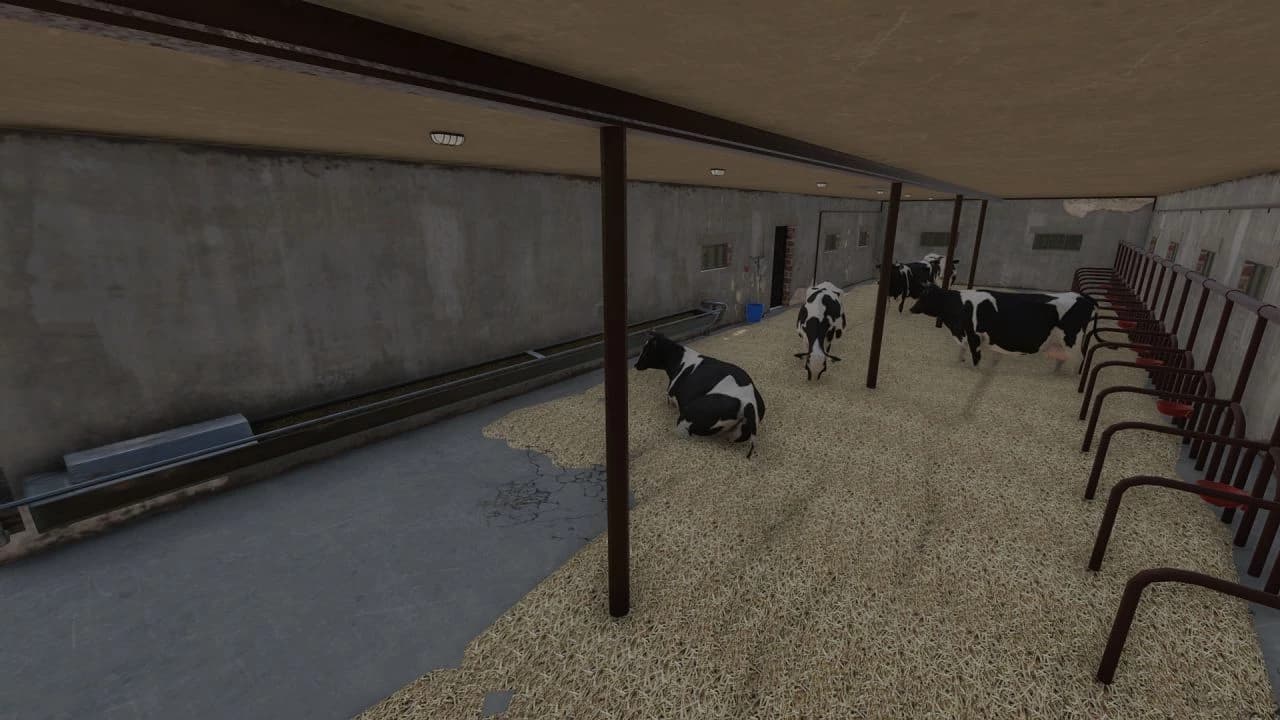 FARM BUILDING WITH COWS