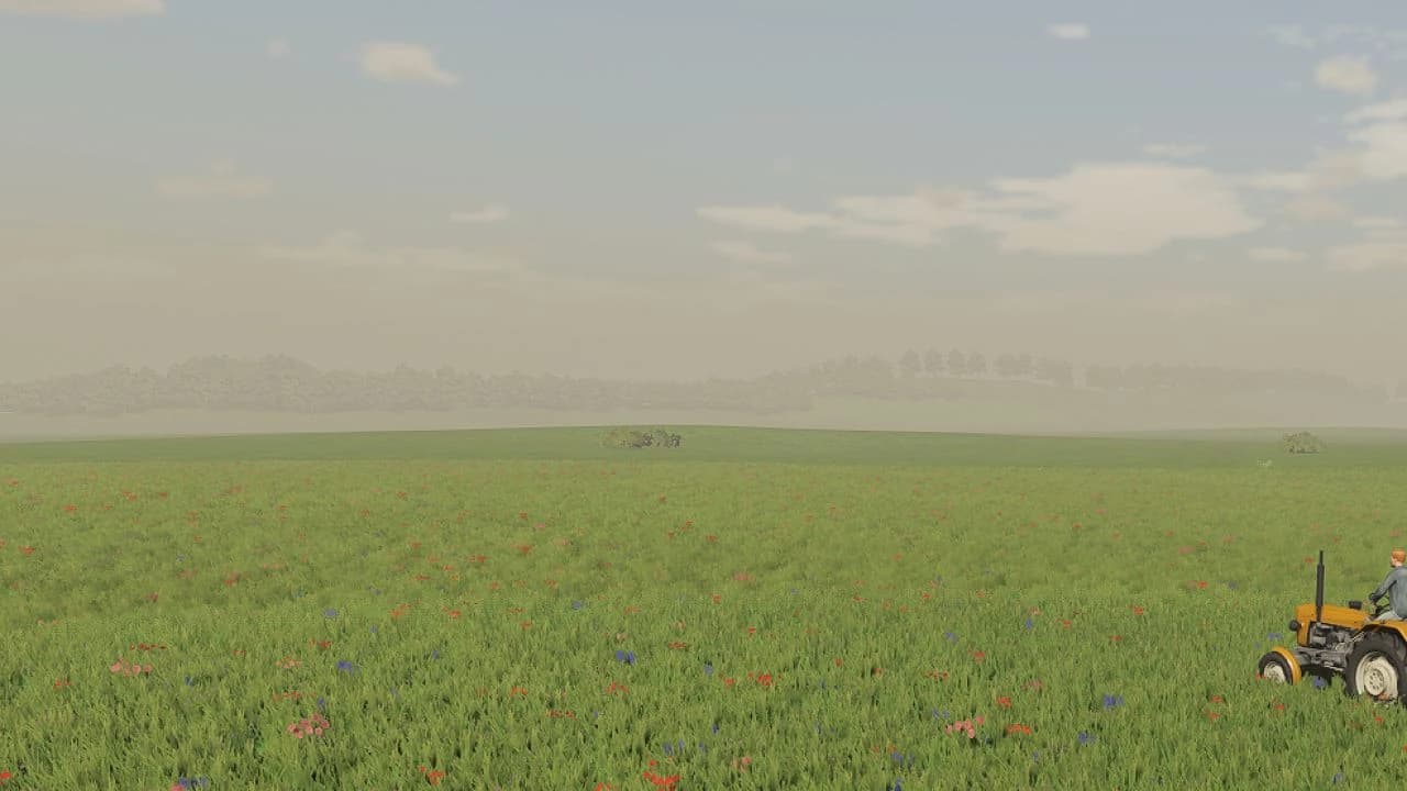 FLAT MAP BETA