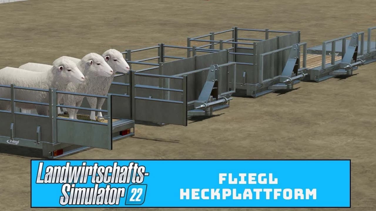 FLIEGL REAR DECK