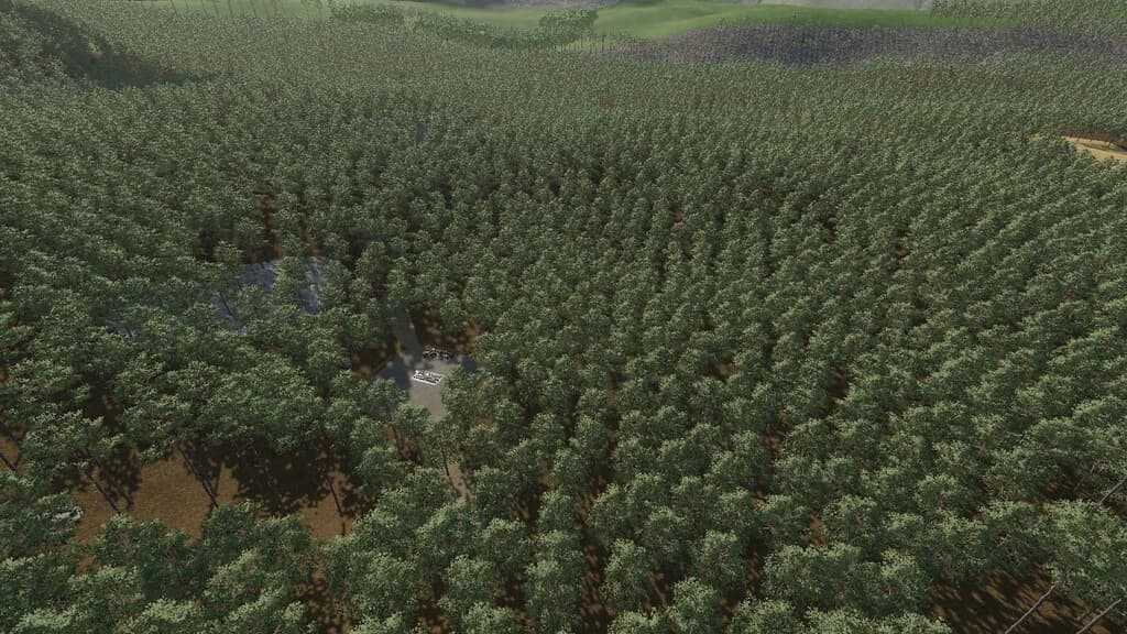 FOREST CHALLENGE