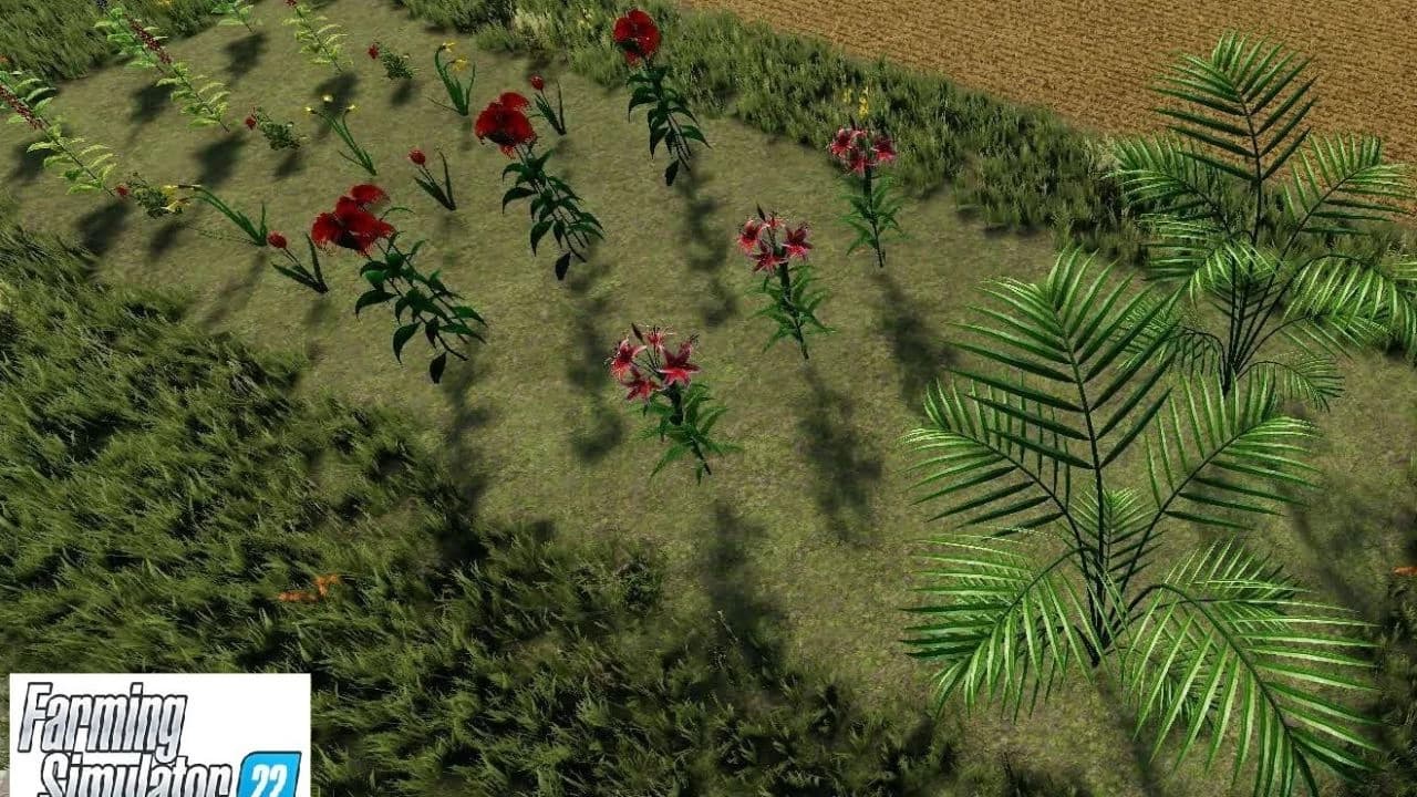 Flower Pack
