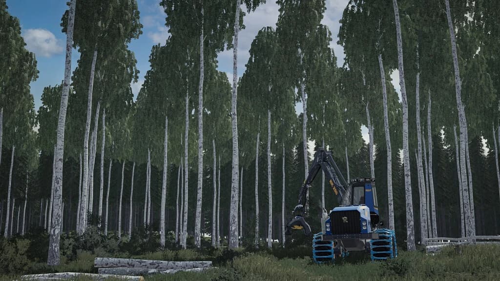 HOLMÅKRA 22