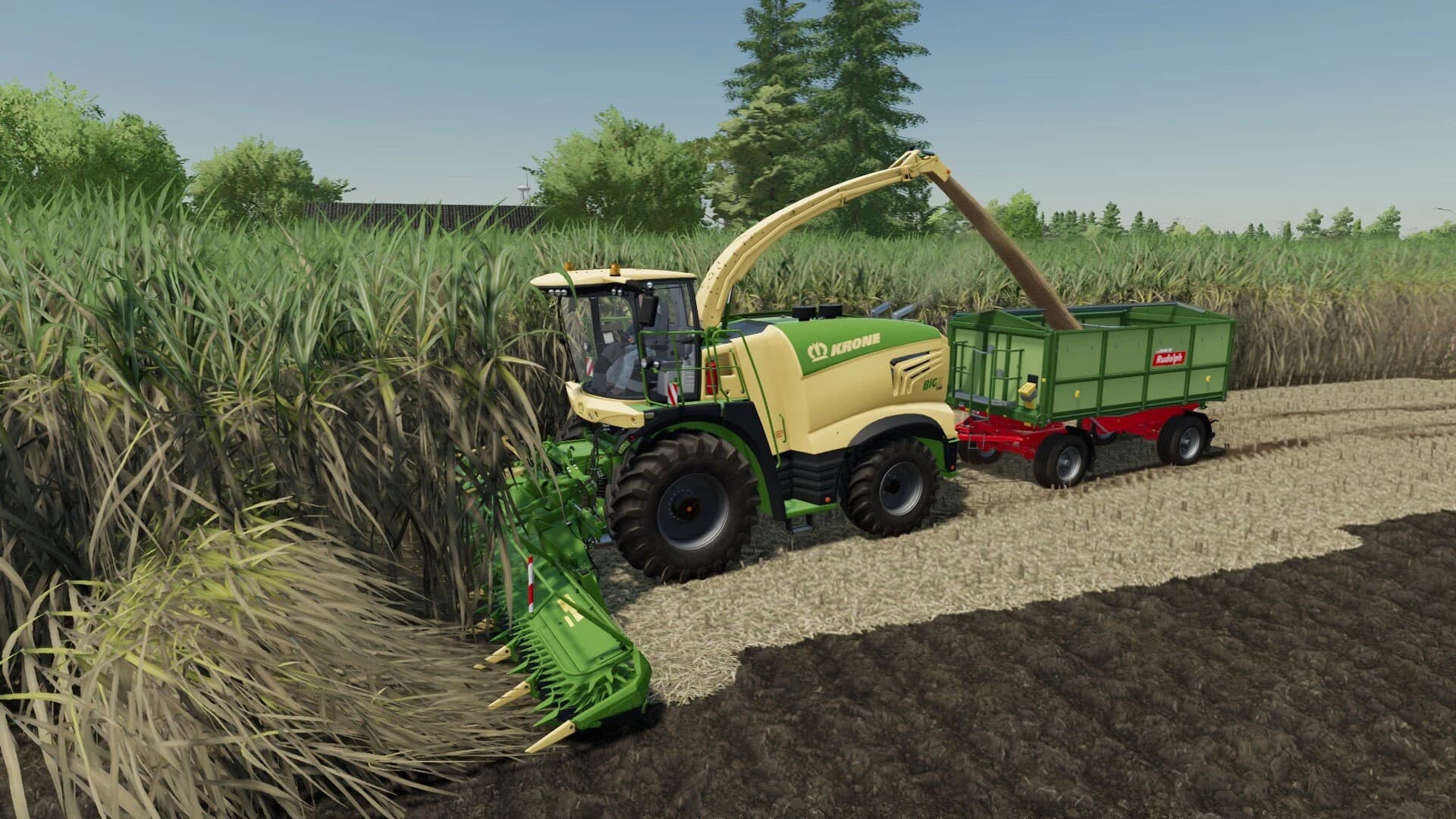 KRONE X-COLLECT 900-3 POPLAR AND SUGARCANE