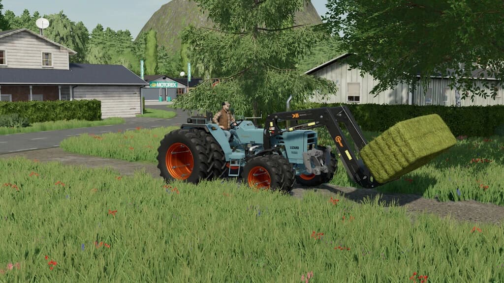 LIZARD 6205 PACK