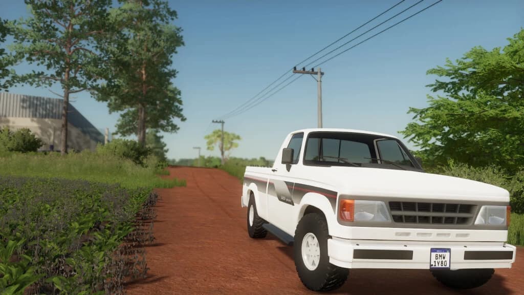 LIZARD BRAZIL