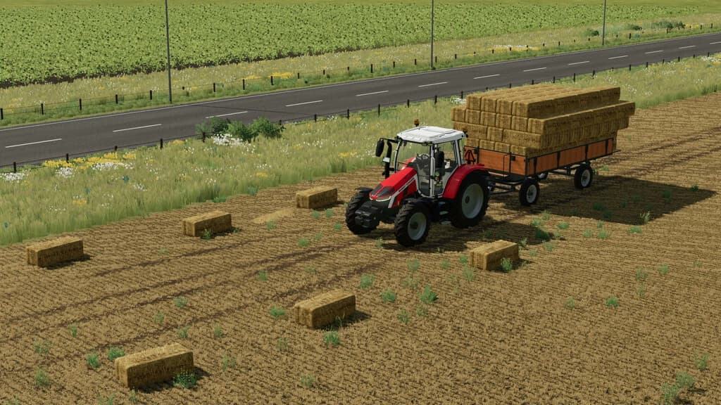 LIZARD SMALL SQUAREBALE AUTOLOAD TRAILER