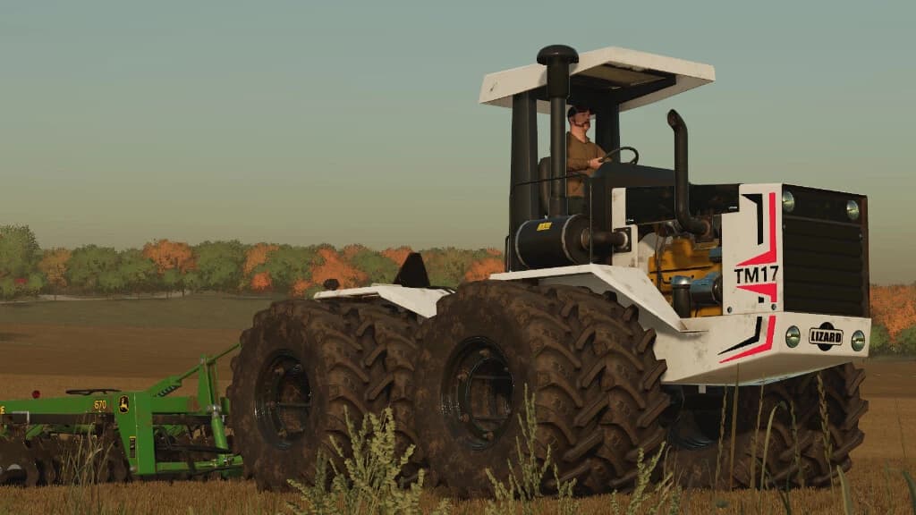 LIZARD TM SERIES