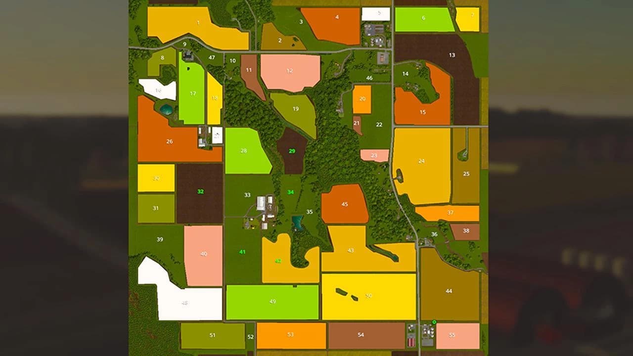 LONE OAK
