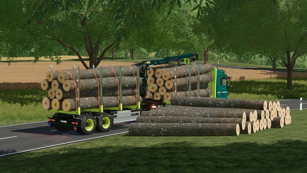 MAN TGX FOREST SPECIAL