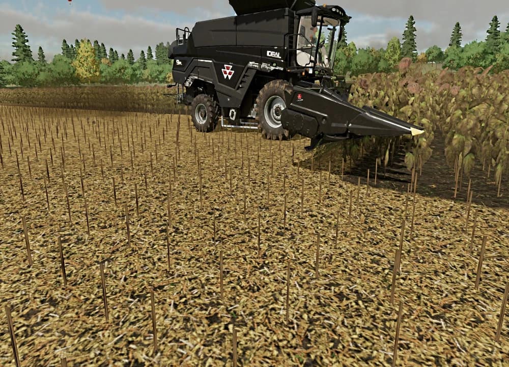 MASSY FERGUSON MAIZE HEADER