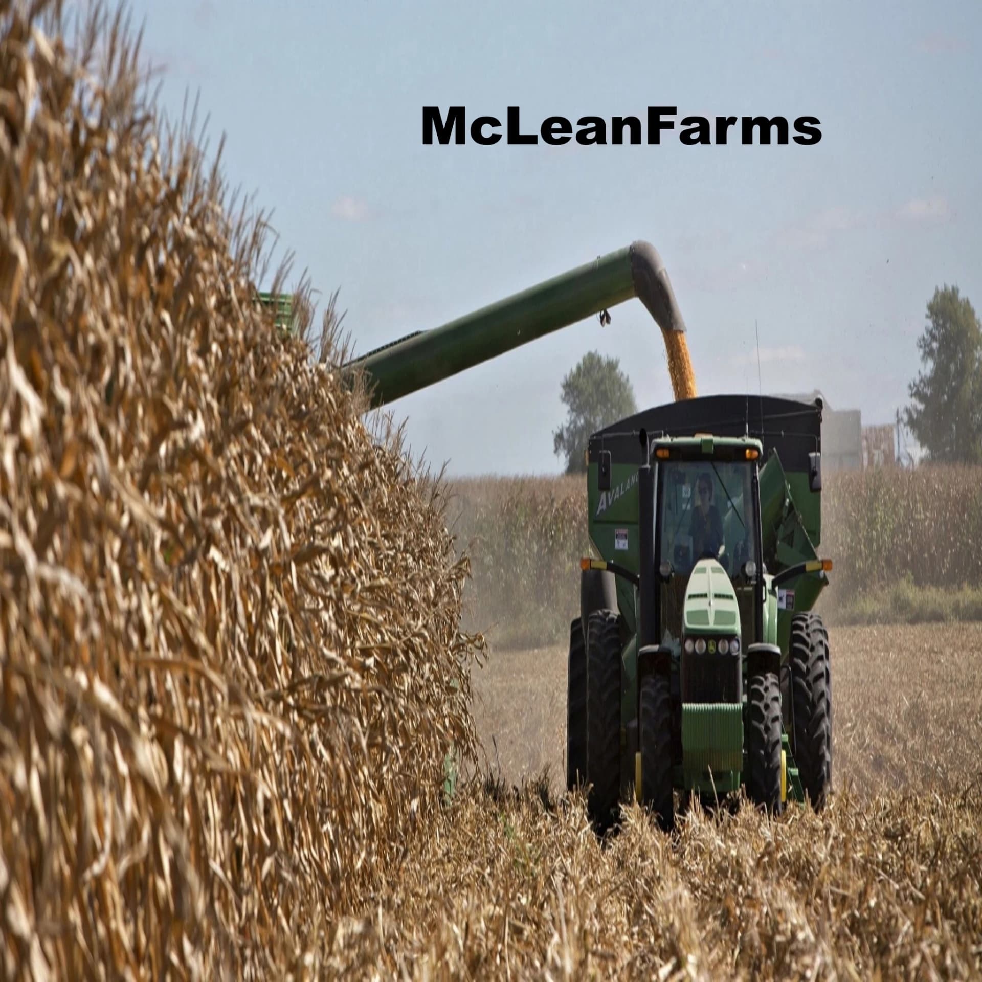 MCLEAN FARMS