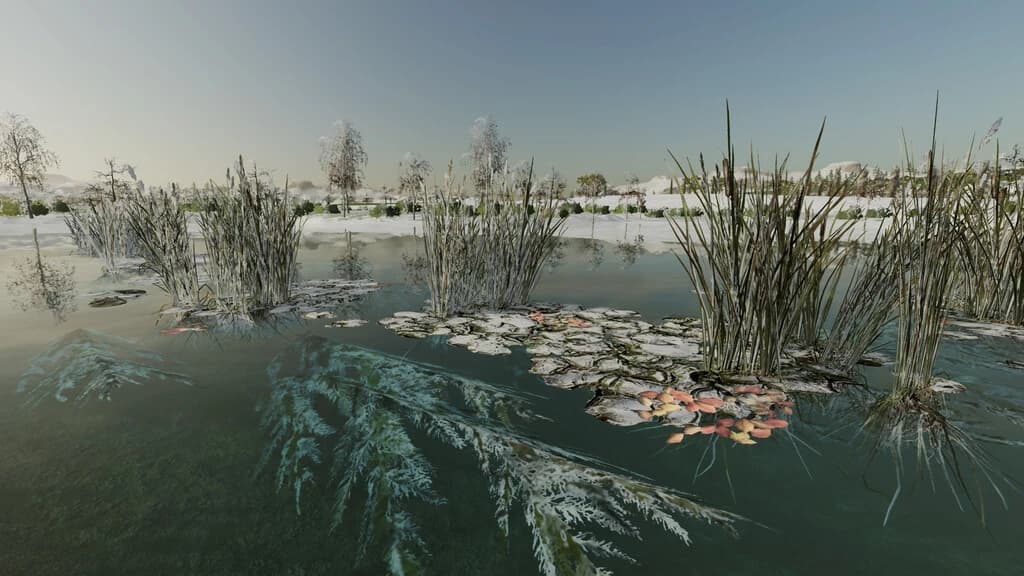 NATURAL WATERPLANTS