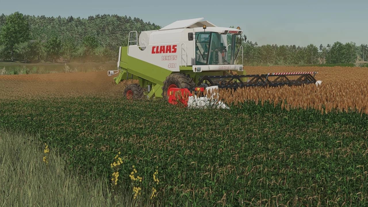 NEW SORGHUM TEXTURE READY FOR HARVEST