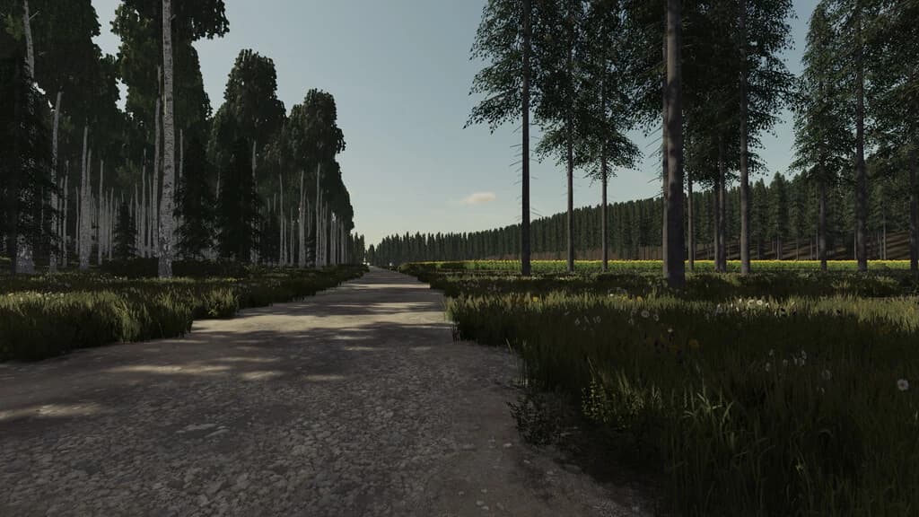 OCEAN SIDE FOREST