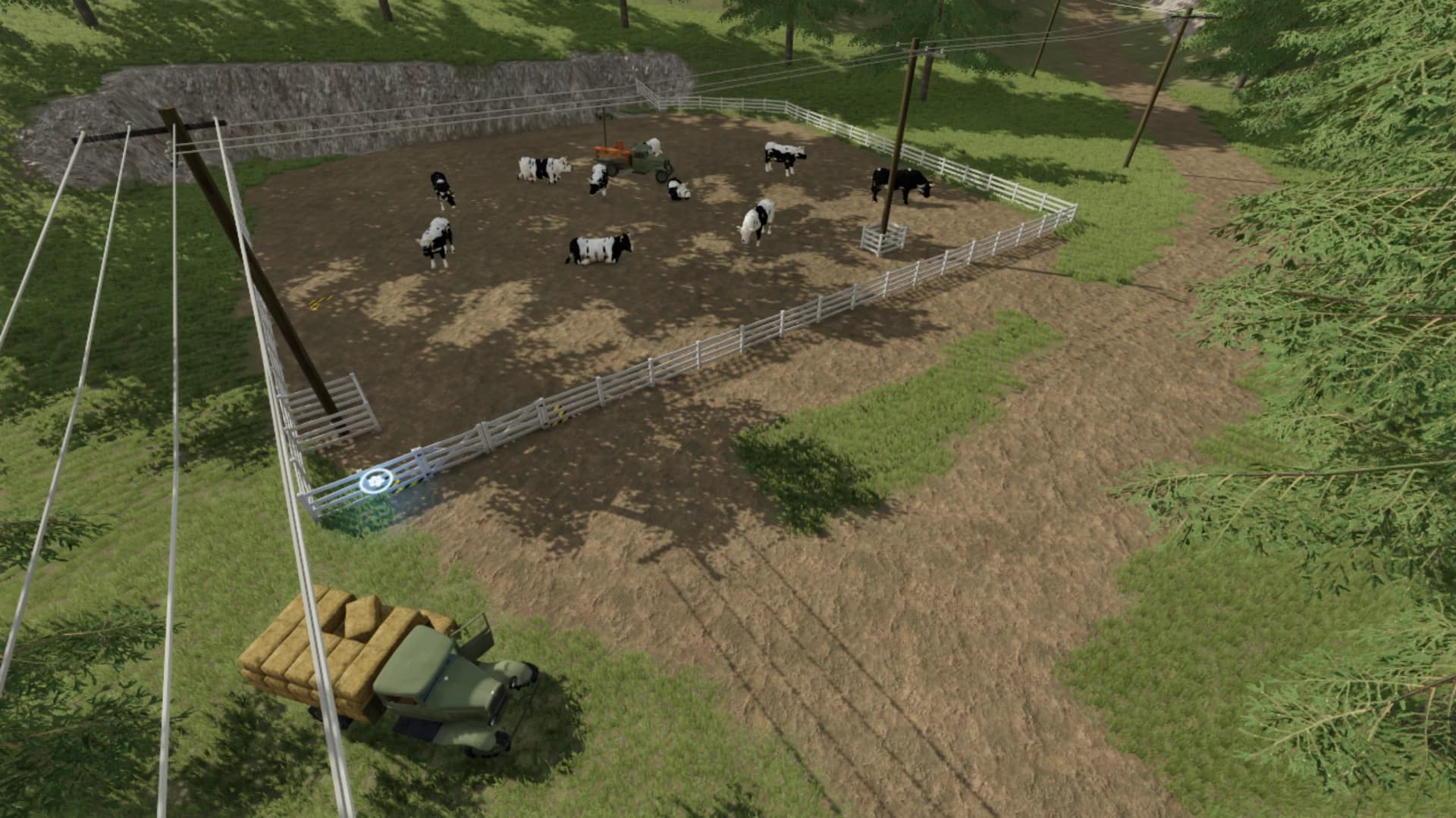 OLD FAMILY FARM 22