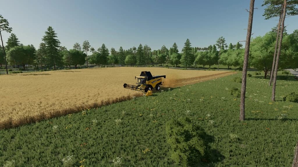 OLD KIWI FARM