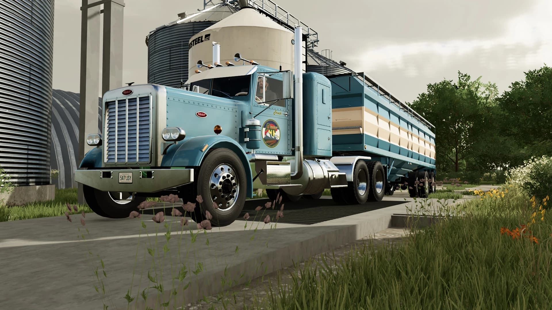 PETERBILT 359