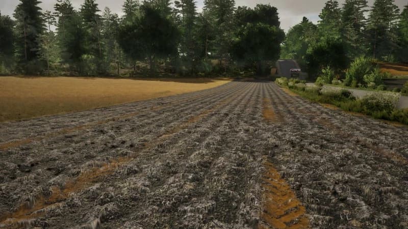 PLOWING TEXTURE