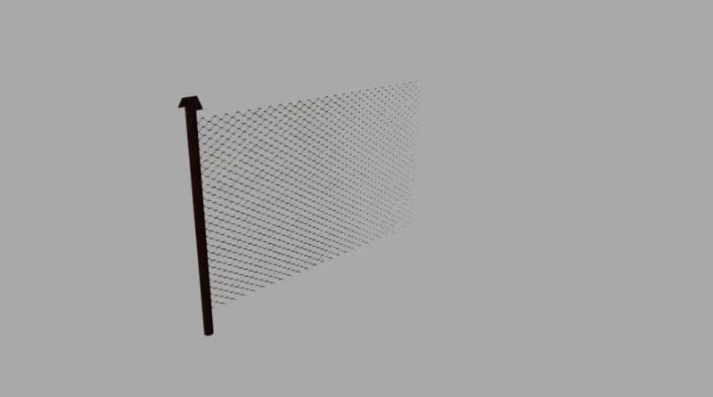 POLISH FENCE