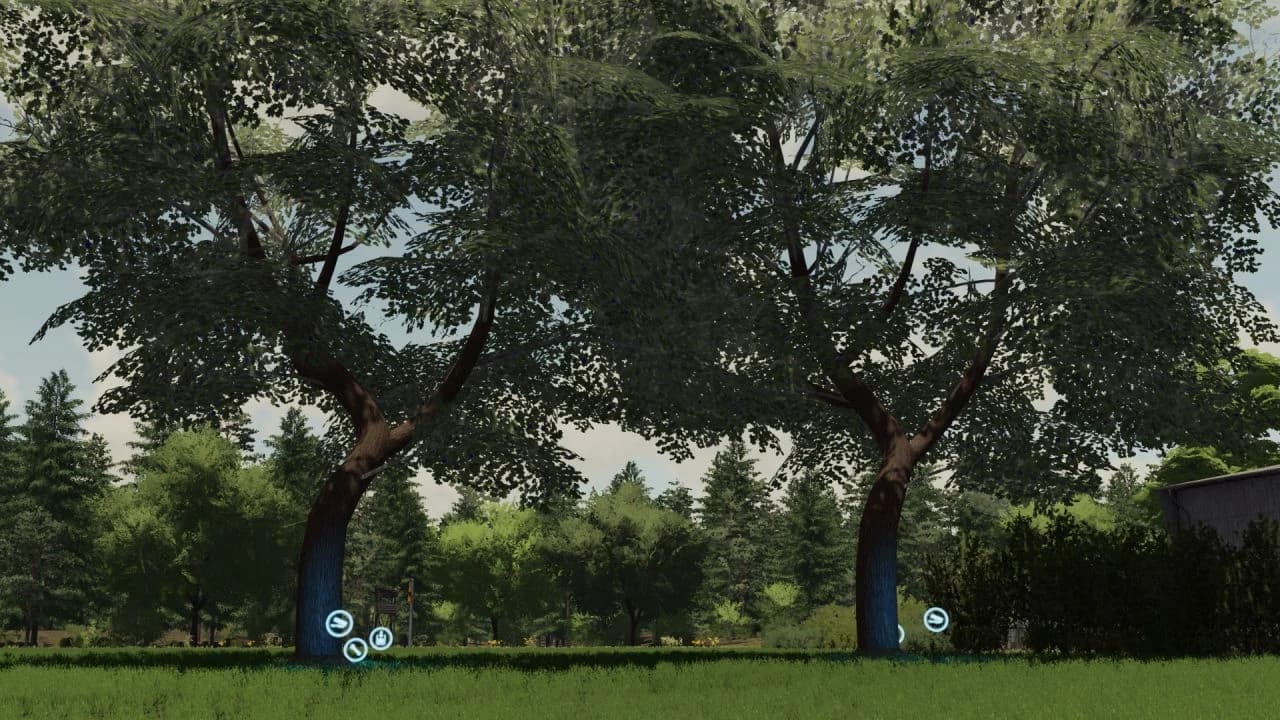 RAKIJA PRODUCTION